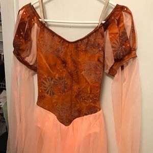 Ballet Princess Costume with Renaissance-Style Sleeves